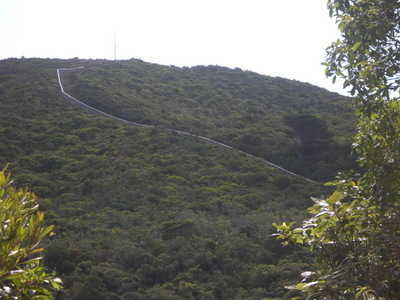 fence